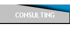 CONSULTING